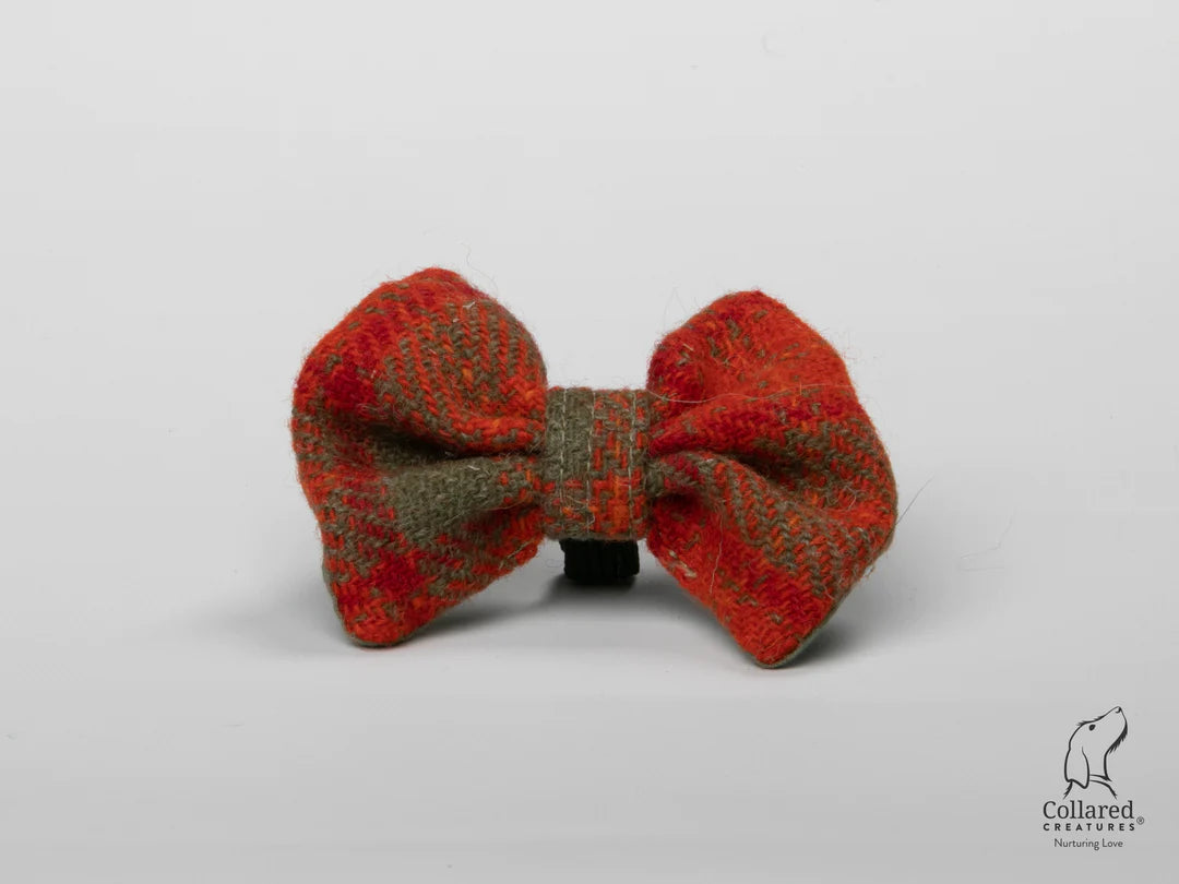 Harris Tweed dog Bow Tie Orange & Olive