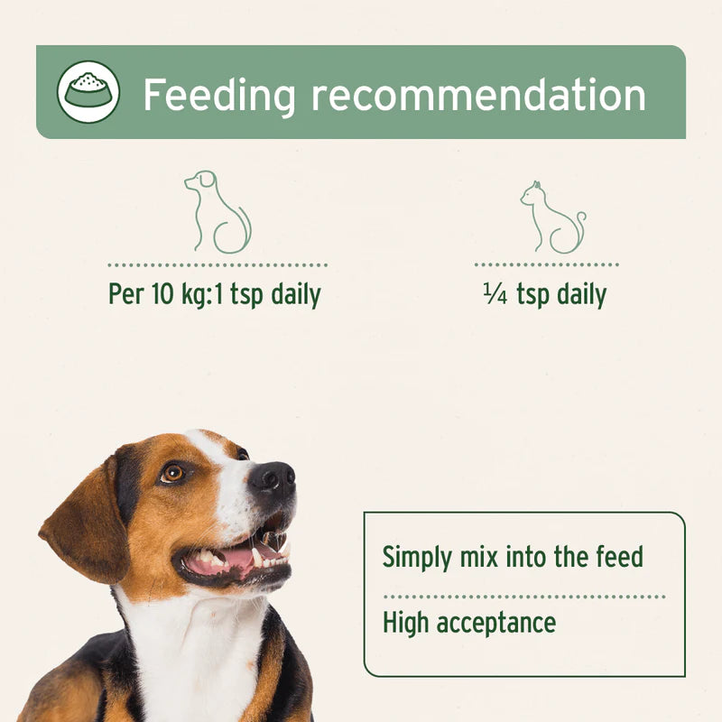 Feeding recommendation for a dog with a green banner and a dog's head in the corner.