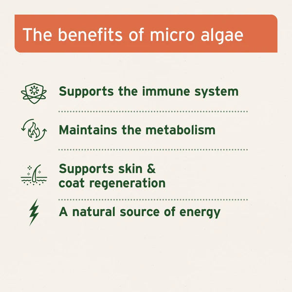 Aniforte organic algae powder properties