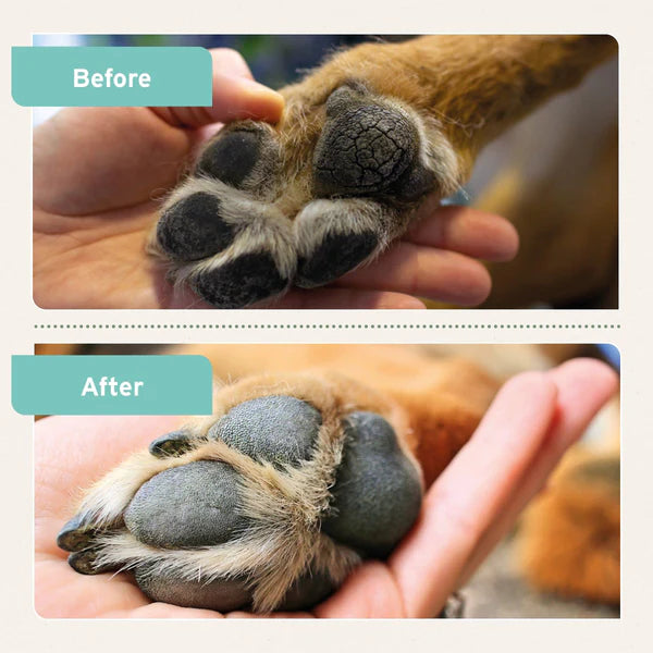 Aniforte paw balm results
