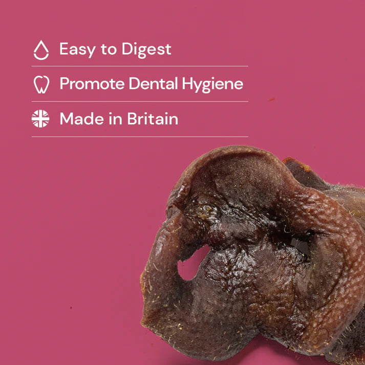 Pig Snout Benefits