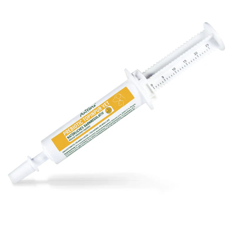 Prebiotic jerusalem artichoke concentrate syringe
