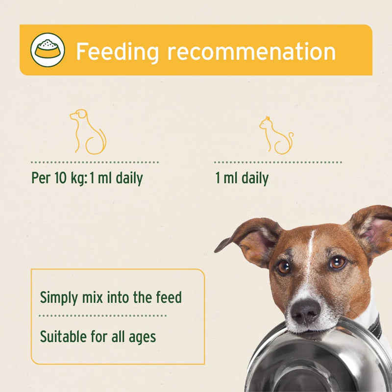 Prebiotic jerusalem artichoke concentrate guidelines