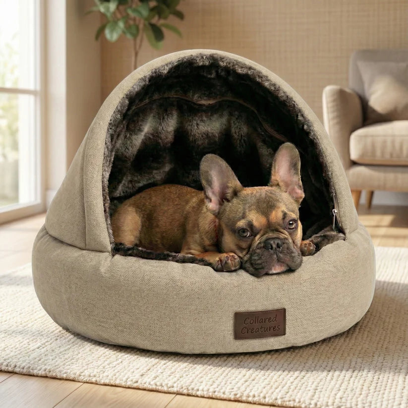 Beige Deluxe Cocoon Bed by Collared Creatures, French bulldog