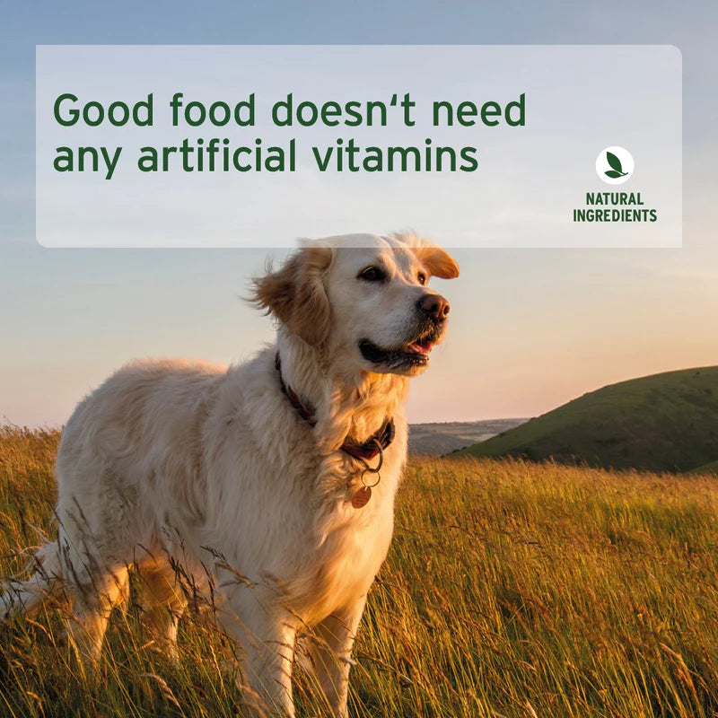 Dog standing in a field with text about natural ingredients