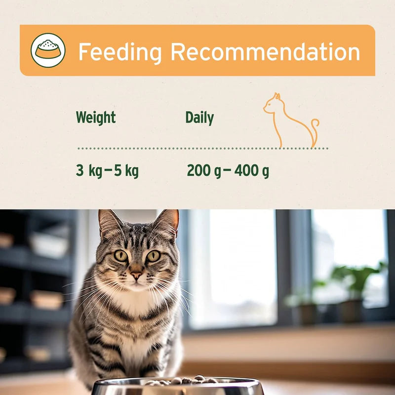 Feeding recommendation chart for cats with a cat sitting by a bowl in the background