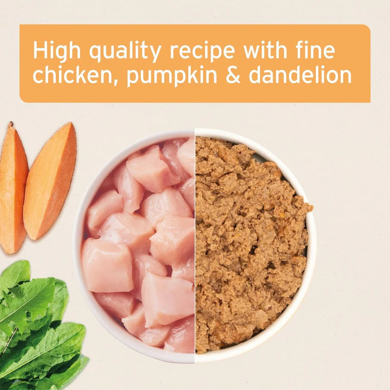 Dietary ingredients including chicken, pumpkin, dandelion, and pet food with text 'High quality recipe with fine chicken, pumpkin & dandelion'.