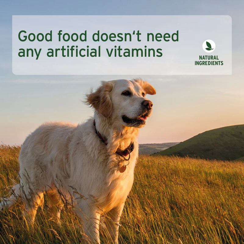 Dog standing in a field with text about natural ingredients