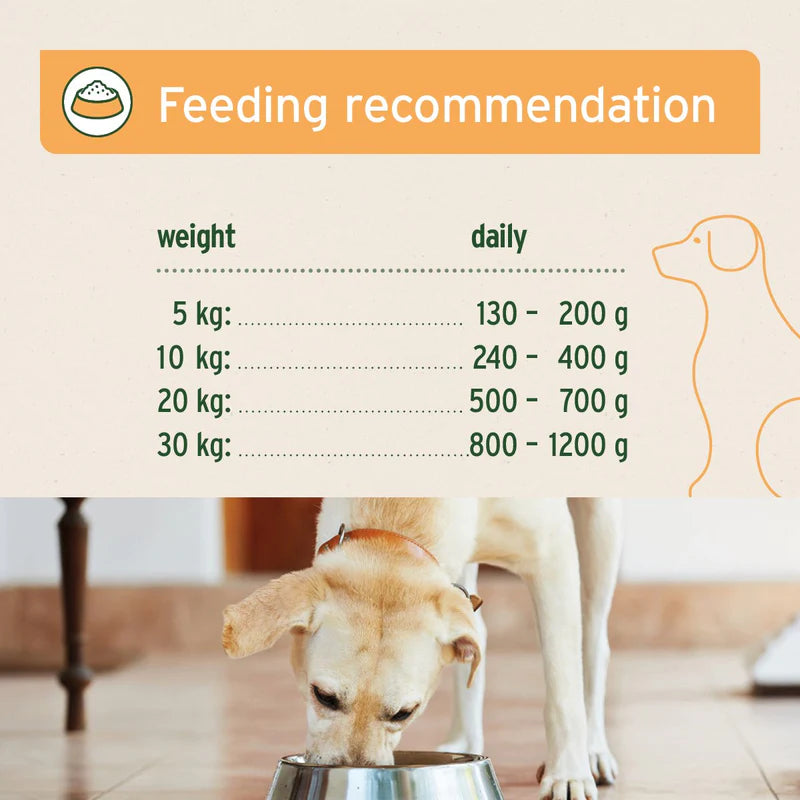 Feeding recommendation chart for dogs with a dog eating from a bowl in the background.