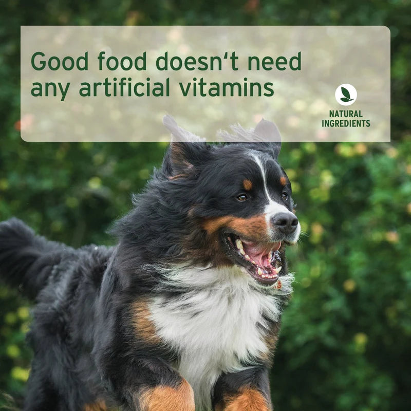 Feeding recommendation chart for dogs with a blurred background of a dog and person interacting.