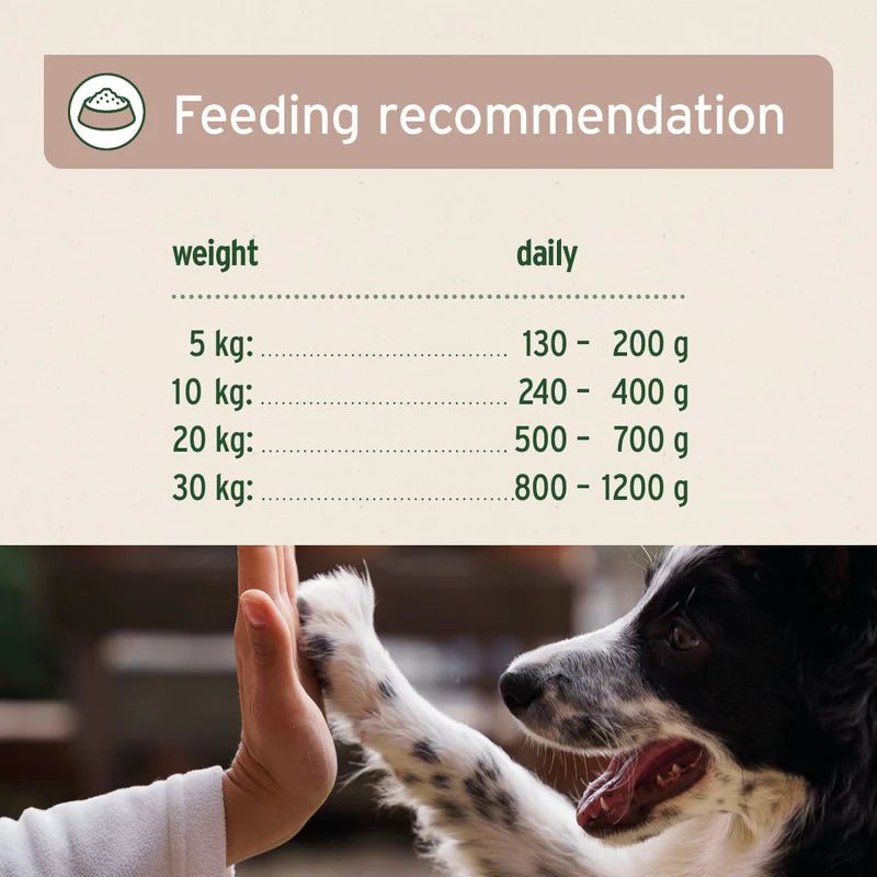 Feeding recommendation chart for Aniforte lamb wet dog food