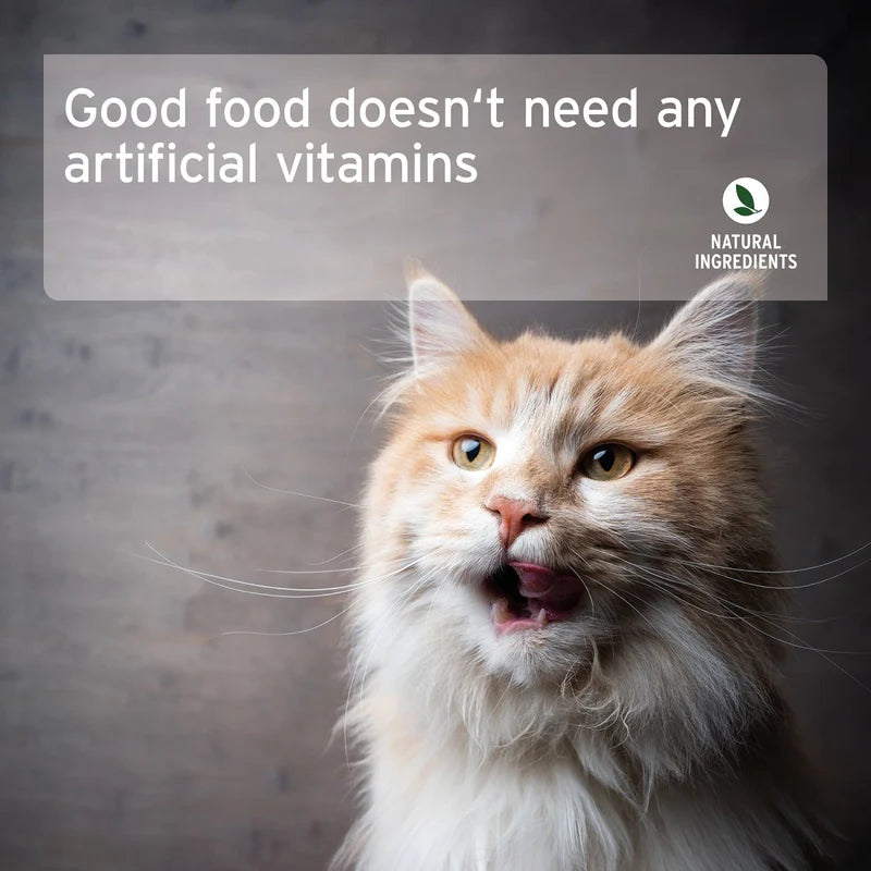 'Good food doesn't need any artificial vitamins' and 'Natural Ingredients' logo.