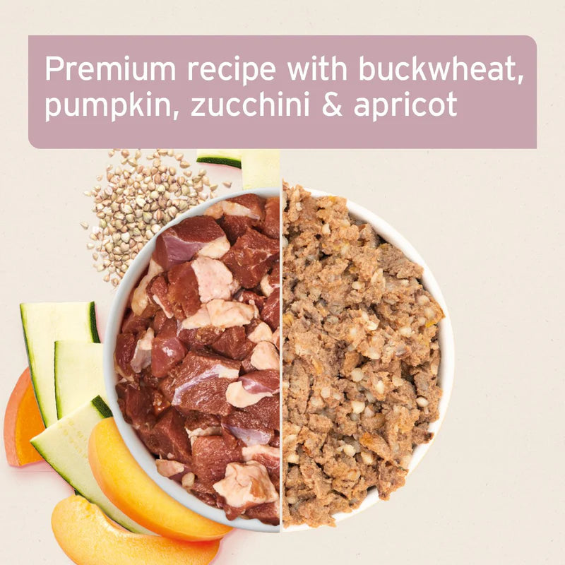 Pet food with buckwheat, pumpkin, zucchini, and apricot on a beige background