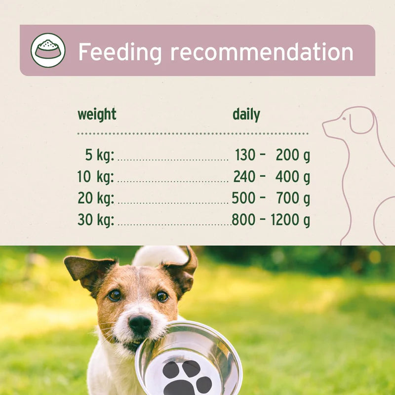 Feeding recommendation chart for dogs with a dog holding an empty bowl in the background.