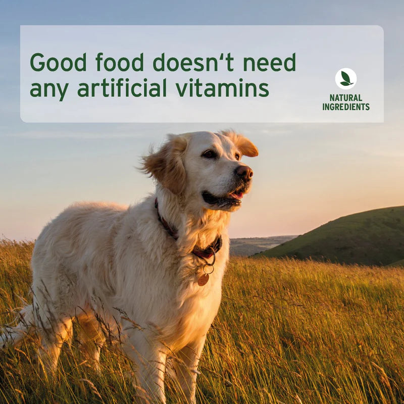 Dog standing in a field with text about natural ingredients