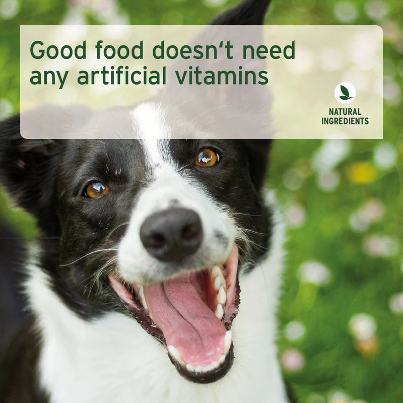 Dog with a natural ingredients label and text 'Good food doesn't need any artificial vitamins' on a blurred green background.