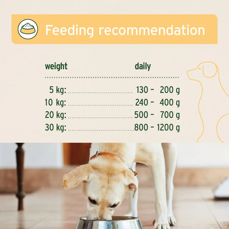 Feeding recommendation chart for dogs with a dog eating from a bowl in the background.