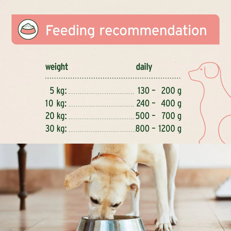 Aniforte Pure Nature Beef natural dog food - premium quality dog food feeding recommendations
