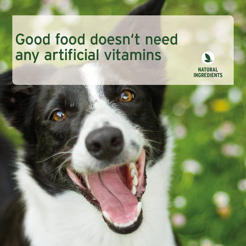 Aniforte Pure Nature Beef natural dog food - premium quality healthy dog food. healthy food, happy dog