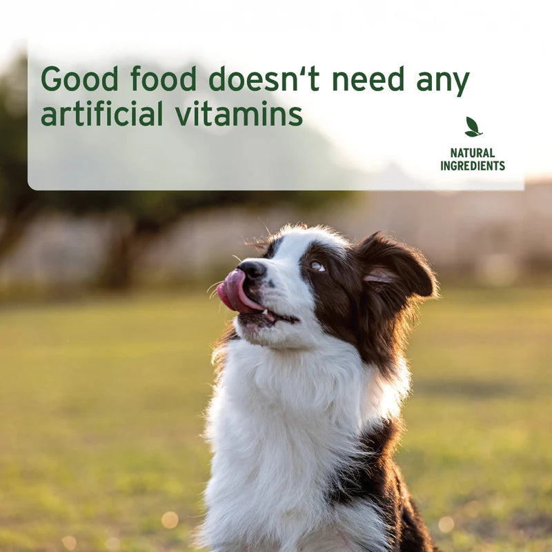 Dog in a field with text about natural ingredients
