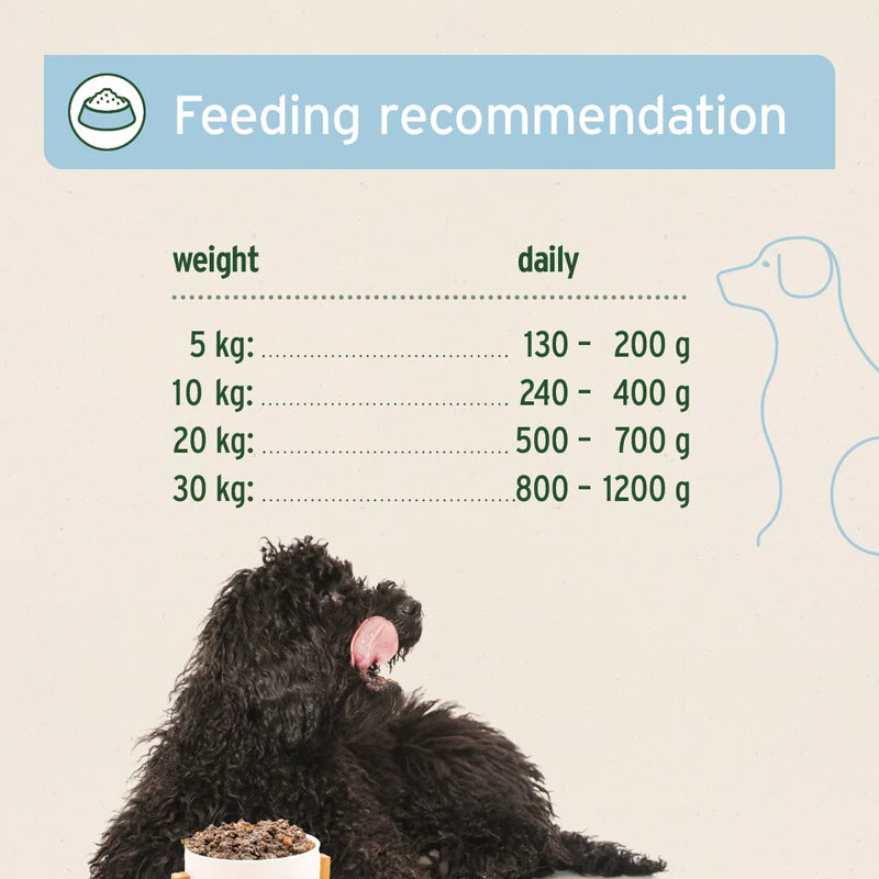 Feeding recommendation chart for dogs with a black dog sitting next to a bowl.