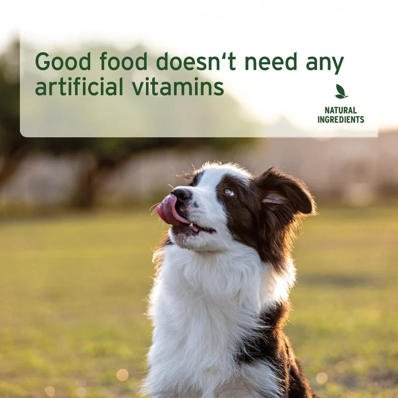 Dog in a field with text about natural ingredients