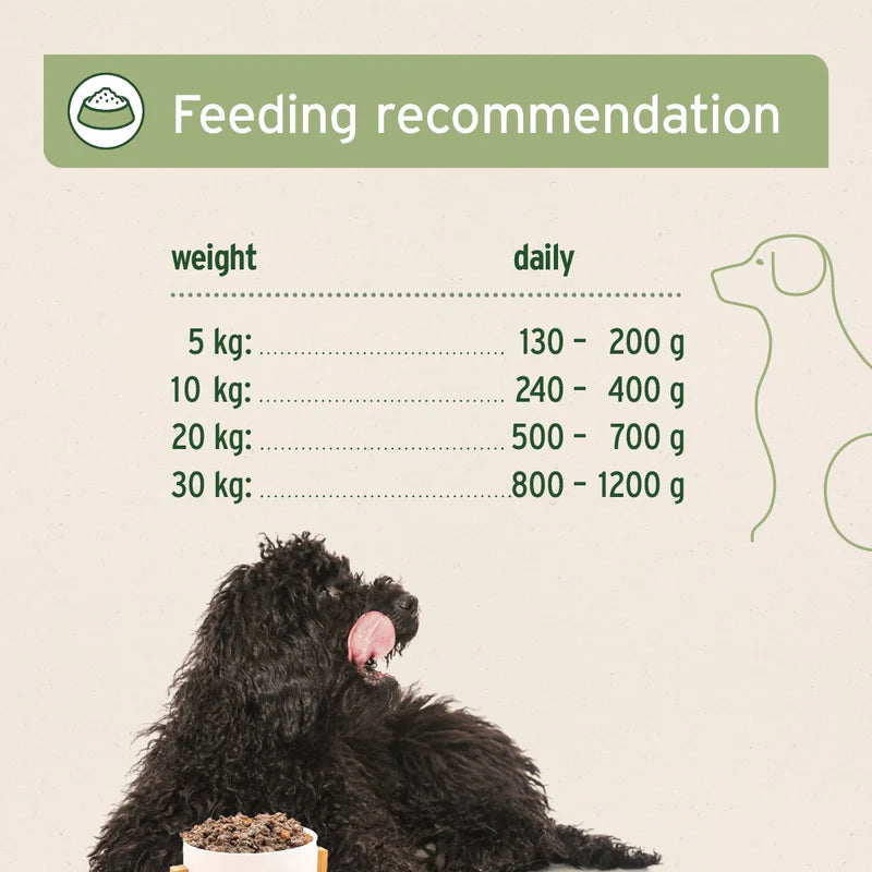 Feeding recommendation chart for dogs with a black dog sitting next to a bowl on a beige background.