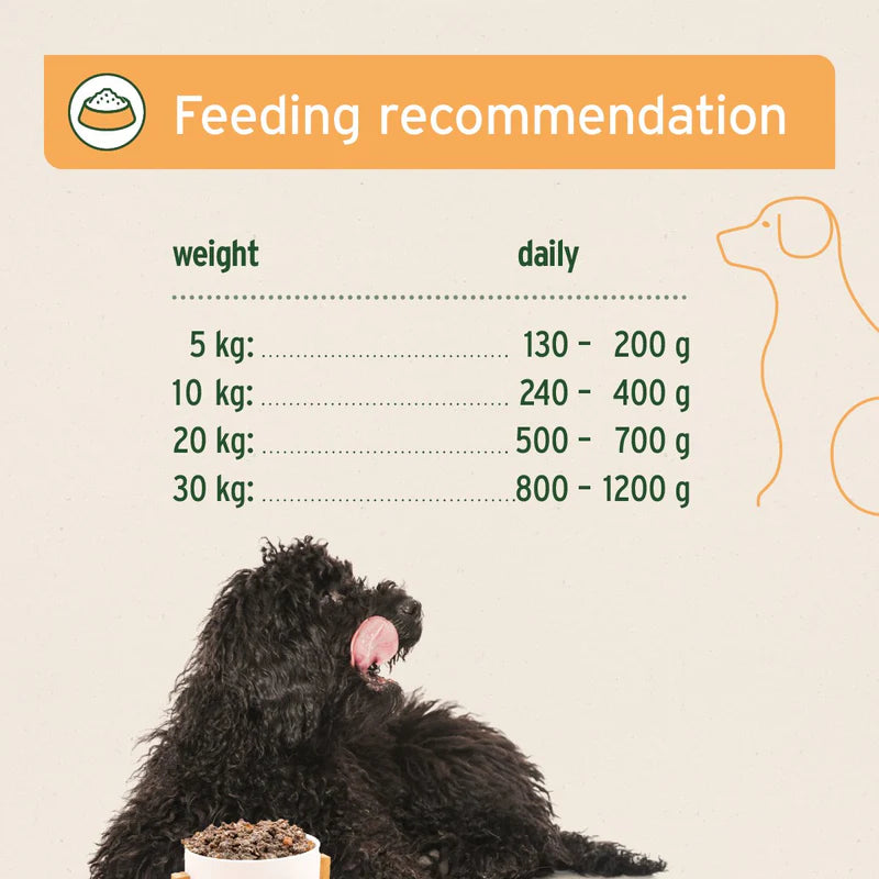 aniforte senior chicken wet food guidelines