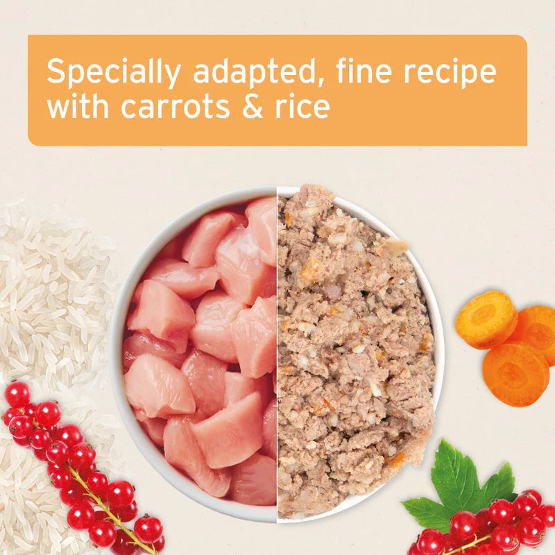 Pet food with carrots, rice, and meat in a bowl