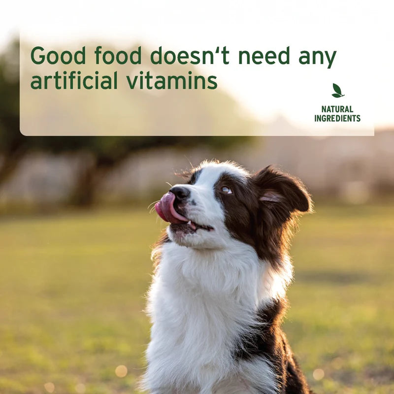 Dog in a field with text about natural ingredients