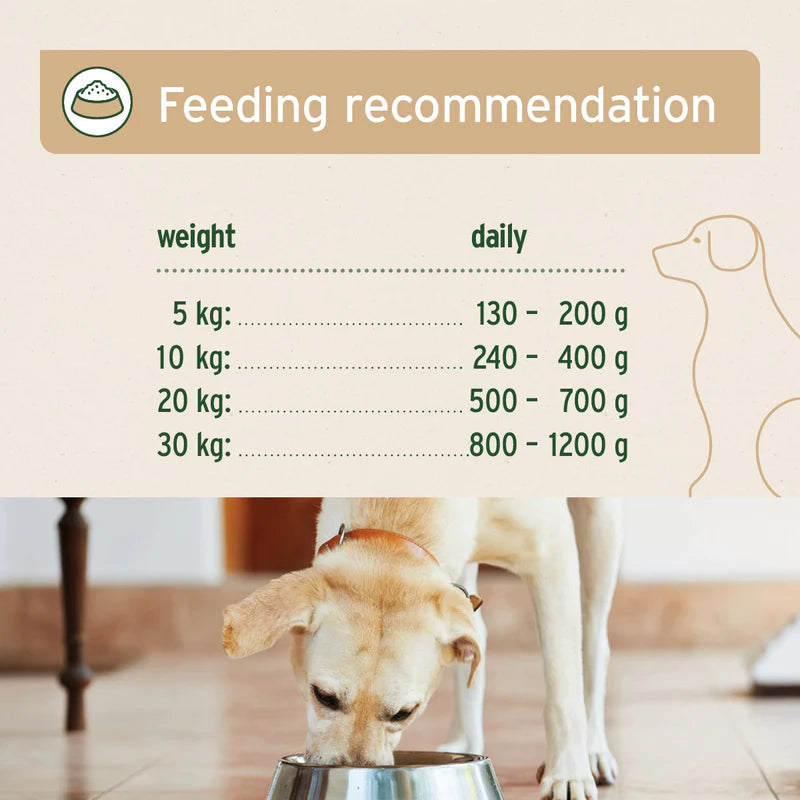Feeding recommendation chart for dogs with a dog eating from a bowl in the background.