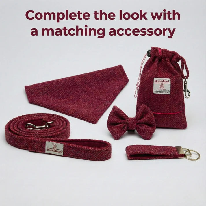 Harris Tweed dog accessories raspberry & coral herringbone