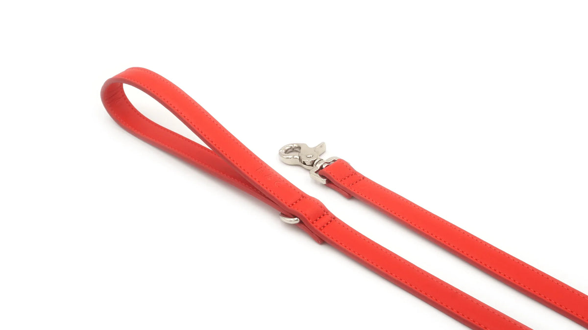 The Red Leather Dog Lead | Vegan Leather | Ralph & Co