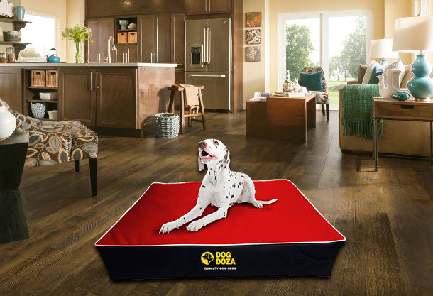 Waterproof dog doza memory foam slab dog bed red and black