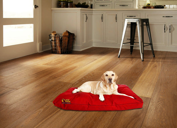 Dog doza waterproof cushion bed Red