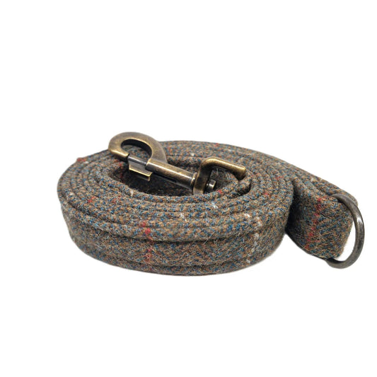 Abraham moon rosa myrtle check dog lead