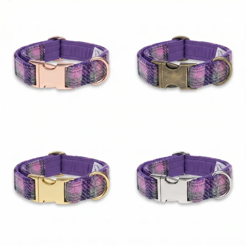 Four Clasp options, dog collars with purple and pink plaid fabric, arranged in a 2x2 grid on a white background. Each collar has a different metal buckle: rose gold, antique bronze, gold, and silver.