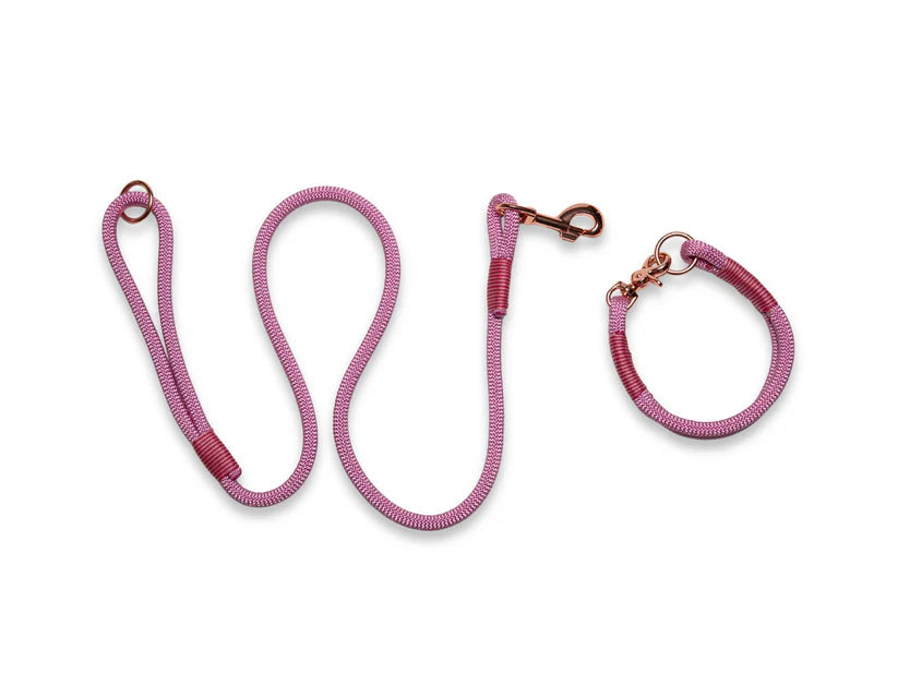 rose pink rope collar and lead