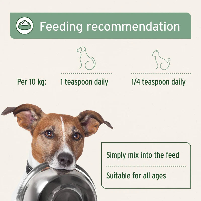 Salmon oil for cats & dogs, feeding guidelines