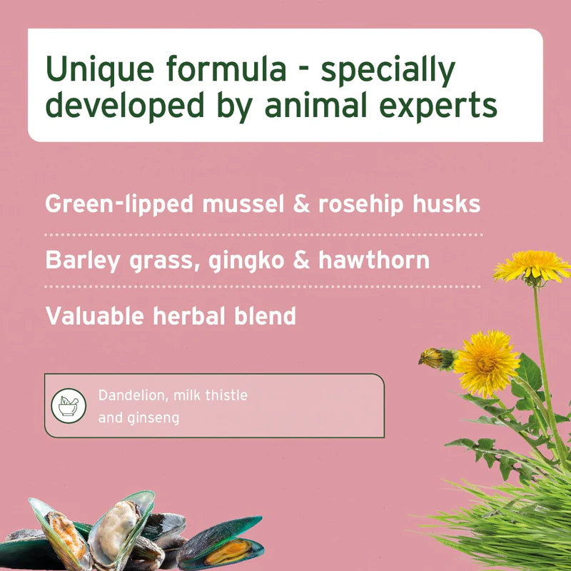 Senior Active – Natural Supplement for Senior Dogs Product description with green-lipped mussel, rosehip husks, barley grass, and dandelion  