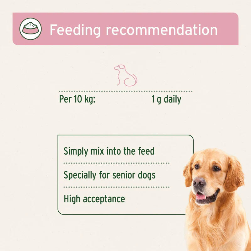 Feeding recommendation for senior dogs  