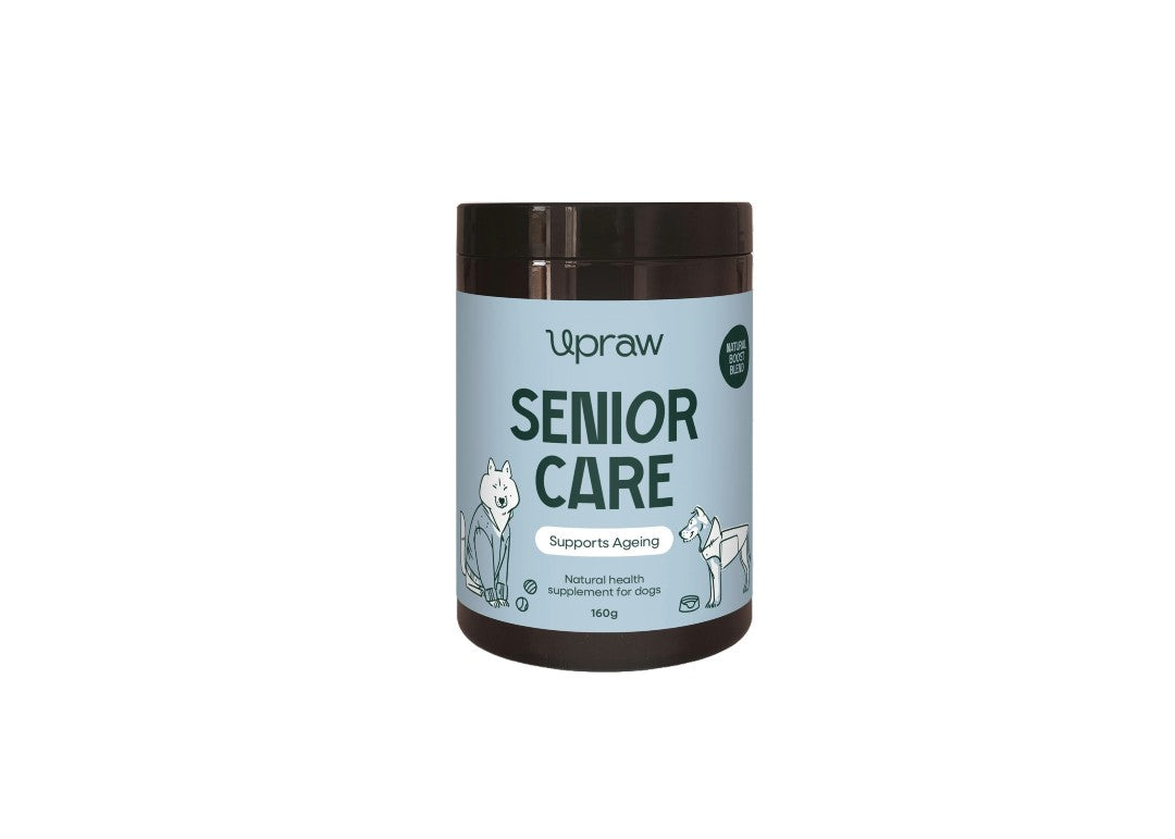 Upraw Senior Cre Powder for Dogs