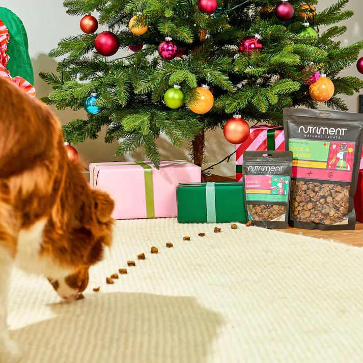 Dog eating dog food near a Christmas tree with Nutriment bags and presents.
