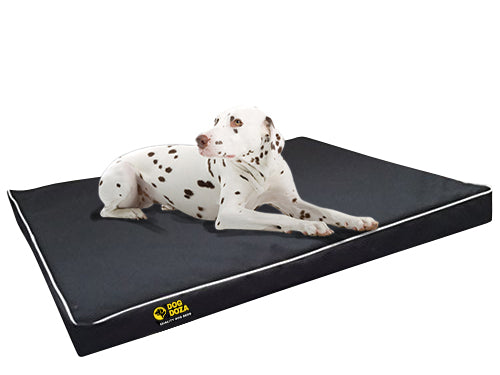 Dog Doza Snooza Waterproof Crash Mat Black