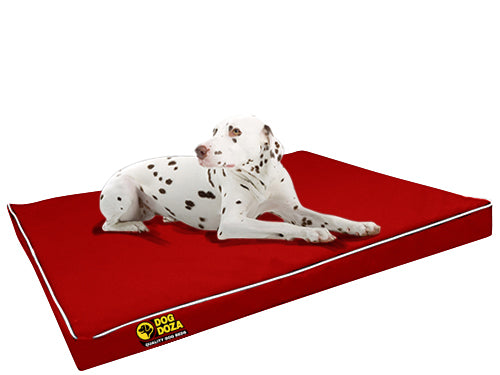 Dog Doza Snooza Waterproof Crash Mat Red