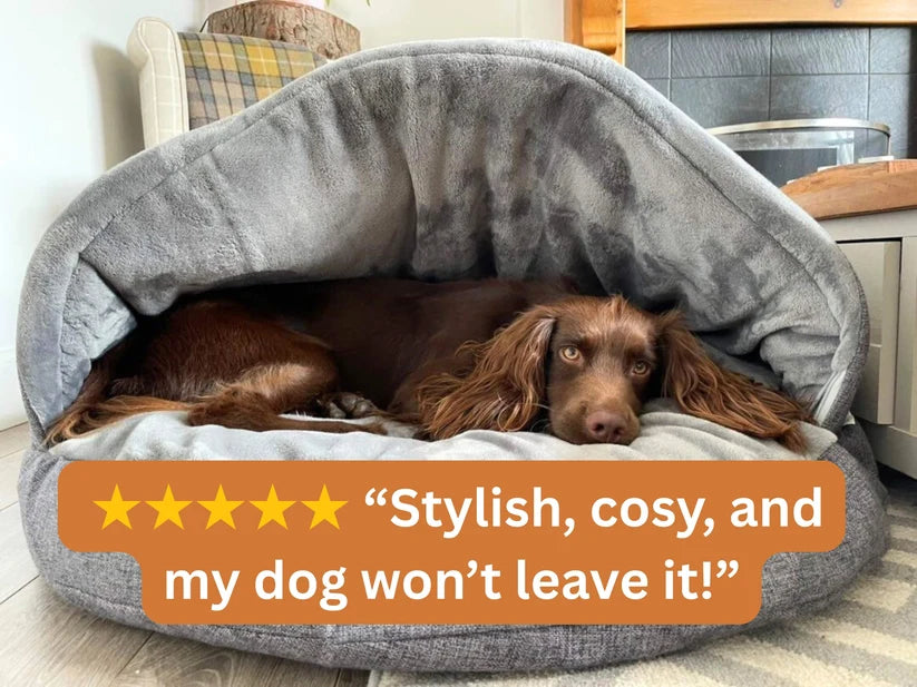 Spaniel in a Cave Bed with a 5 star review