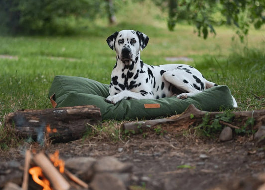 Ralph & Co Richmond Luxury Green Stonewashed Dog Mattress