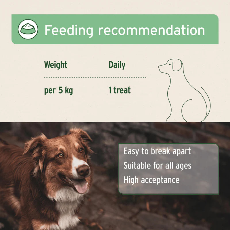 AniForte® Summer Season Snack – Feeding Guidelines