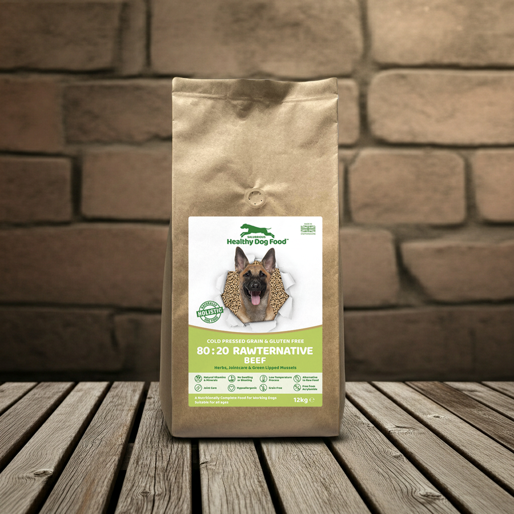 Bag of 'Healthy Dog Food' on a wooden surface with a brick wall background