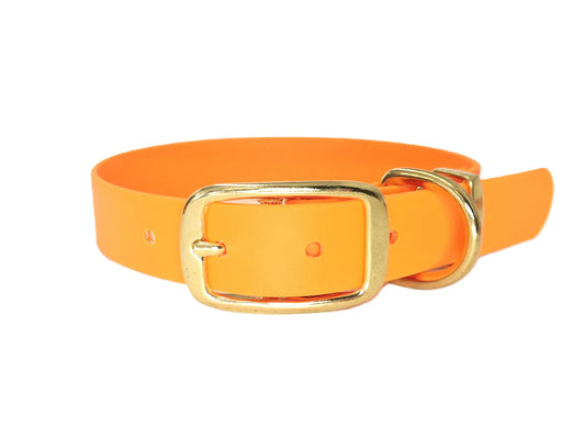 Tangarine Orange waterproof Dog Collar